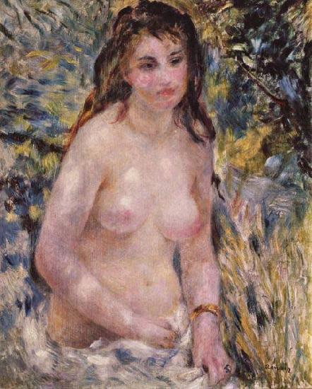 Pierre-Auguste Renoir Nude In The Sun, china oil painting image